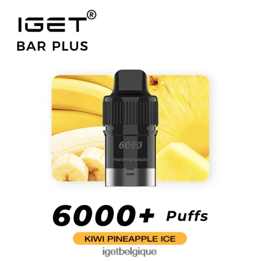 IGET eshop bar plus pod 6000 bouffées 02064T270 glace kiwi ananas